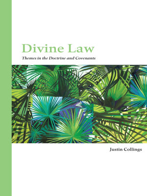 cover image of Divine Law